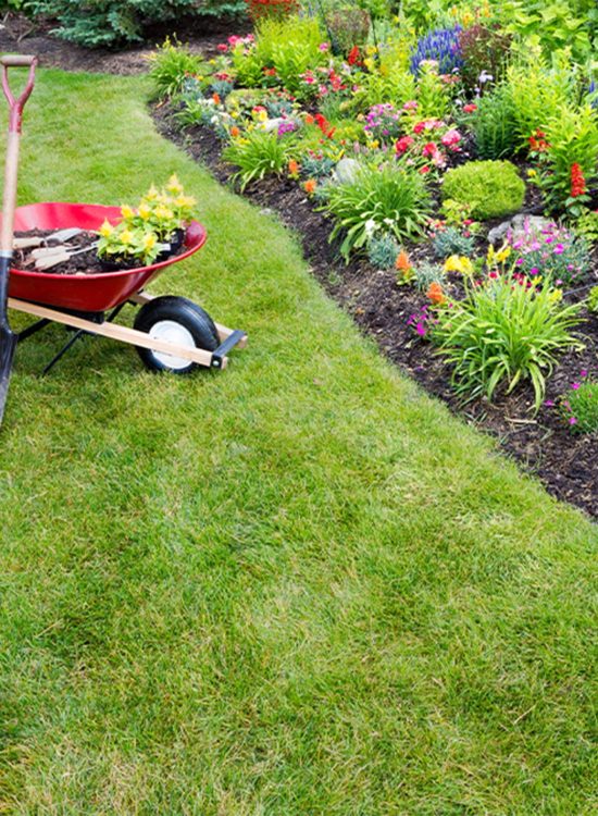Yard Cleanups Yard Cleanups